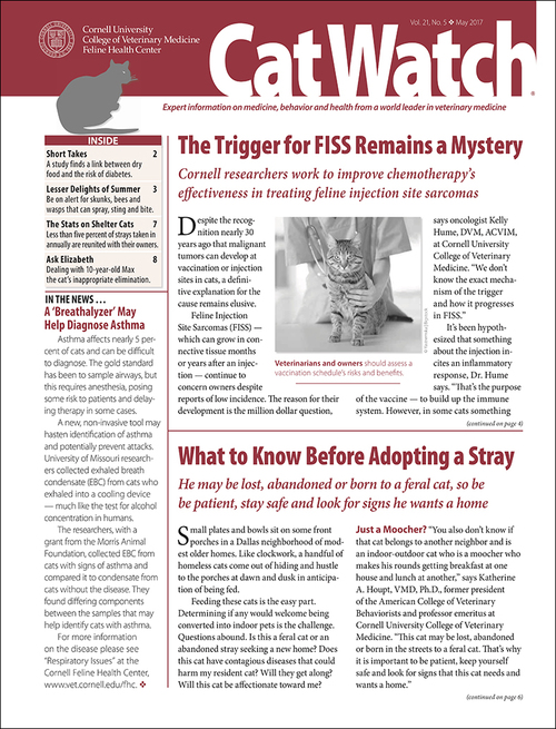 Magazine Discount Center