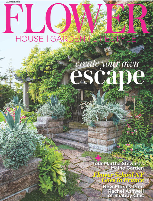 Magazine Discount Center